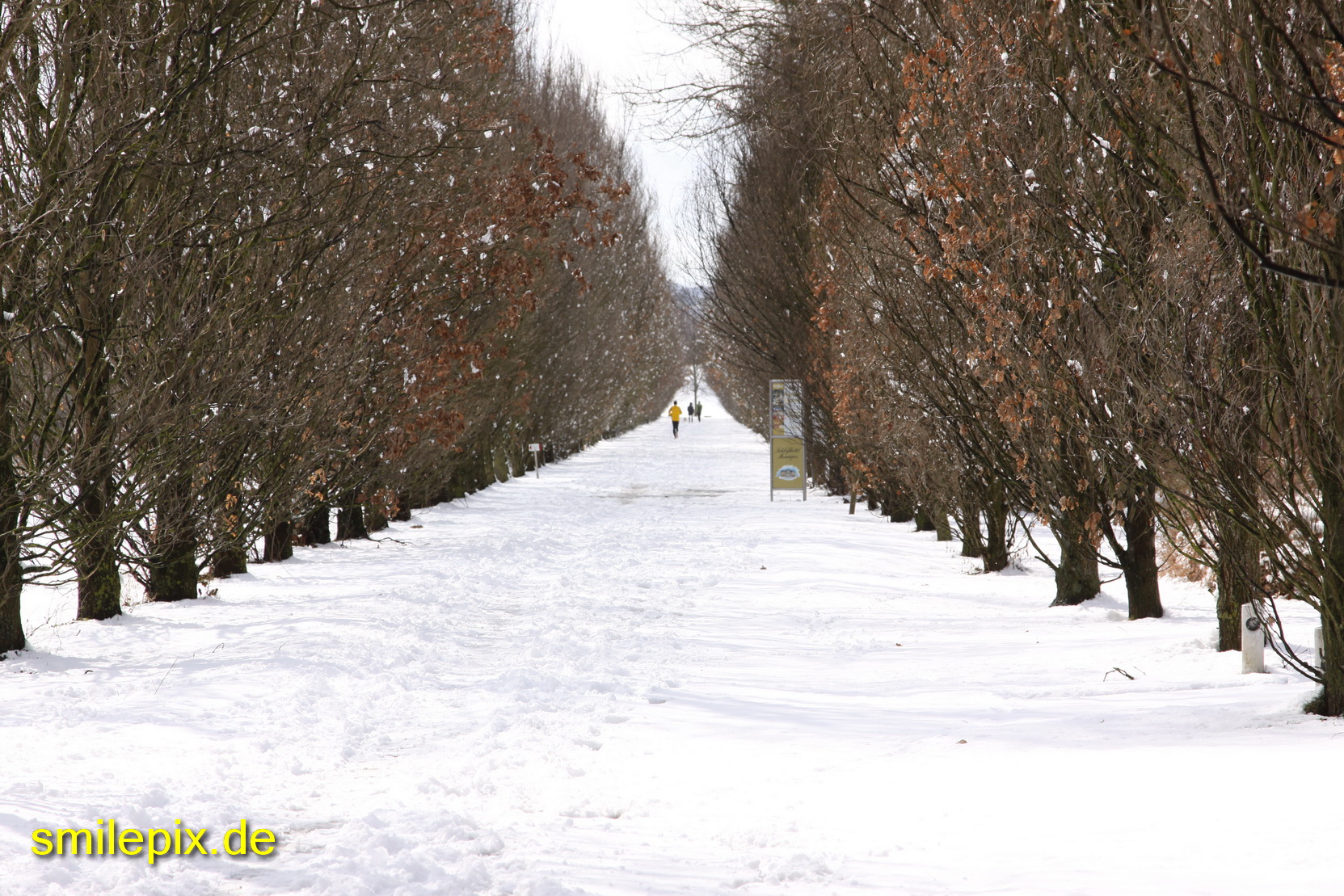 Ludwigsburg 6.3.10 (0380)